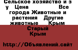 Сельское хозяйство и з/у › Цена ­ 2 500 000 - Все города Животные и растения » Другие животные   . Крым,Старый Крым